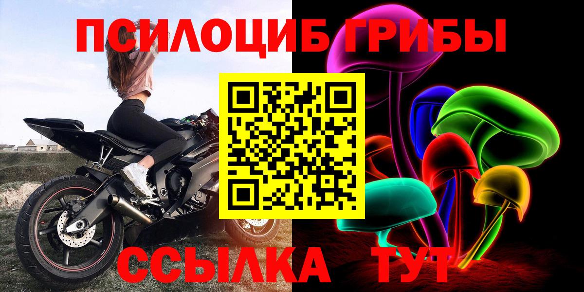 Галлюциногенные грибы прущие грибы Сокол