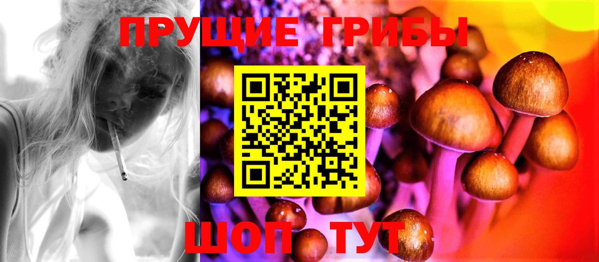 Псилоцибиновые грибы Magic Shrooms  Галлюциногенные грибы Psilocybe  Сокол  Вход с VPN 